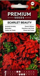 Sweet William Scarlet Beauty Seeds.